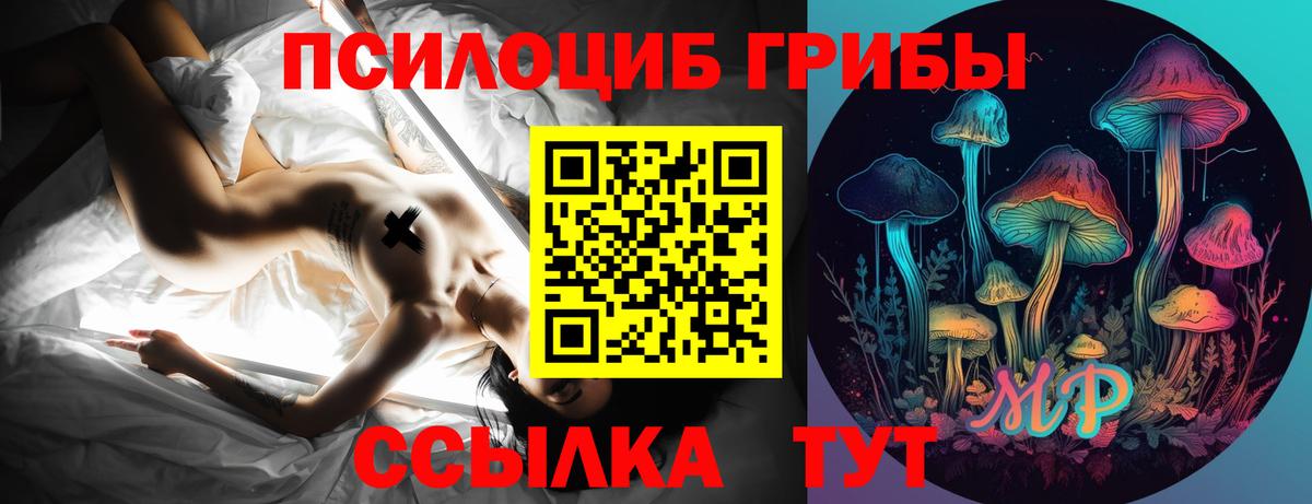 Реутов  Галлюциногенные грибы Psilocybe  Вход с VPN 